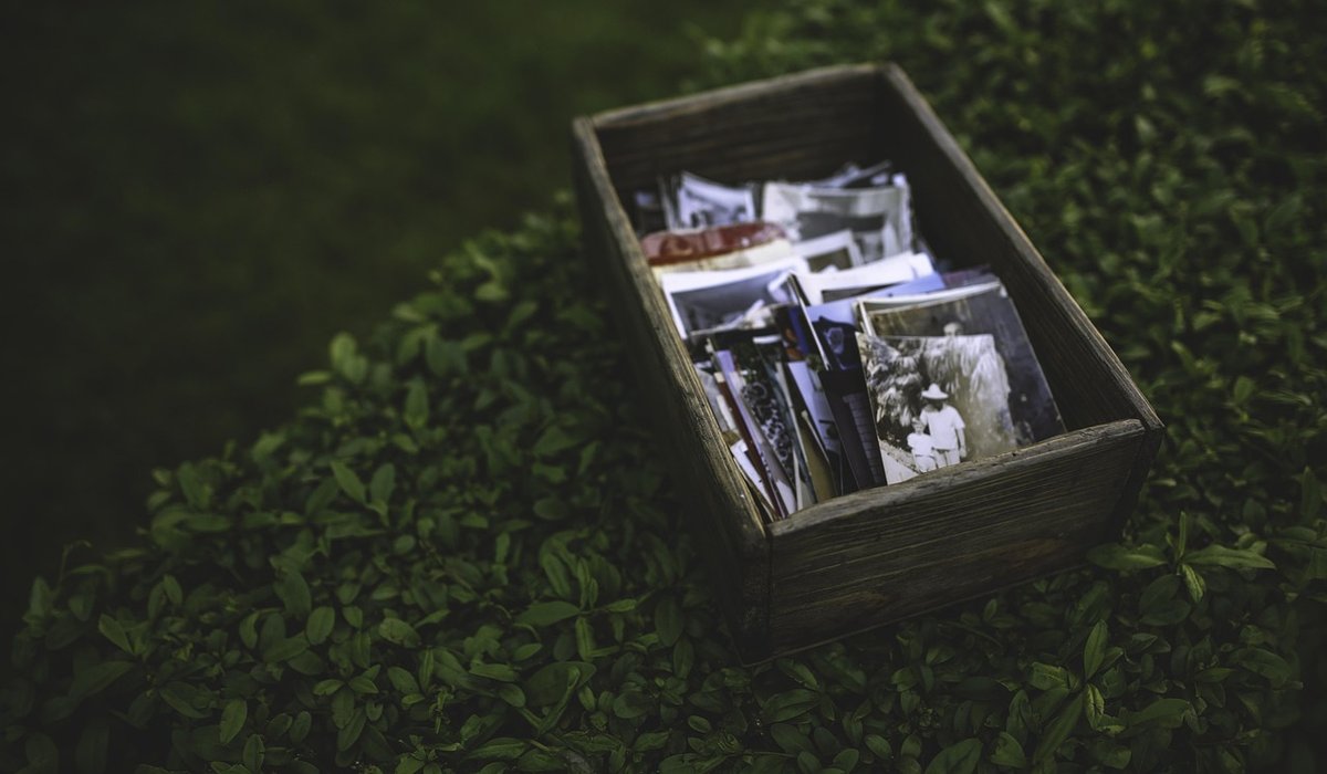 blog single post